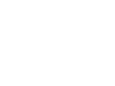 Meta Business Partner