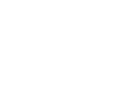 Microsoft Advertising Partner