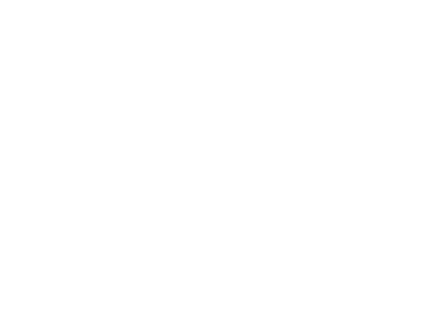 TikTok Marketing Partner